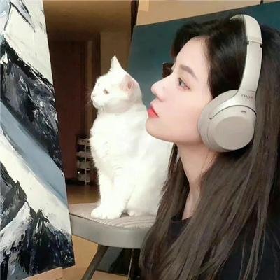 奶爸当家