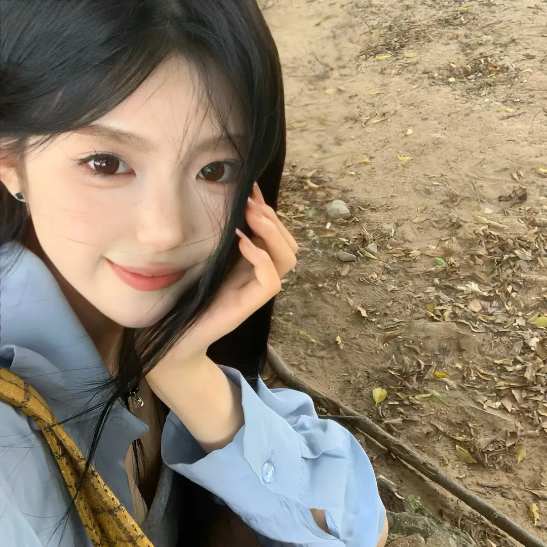 笨鸟满天飞